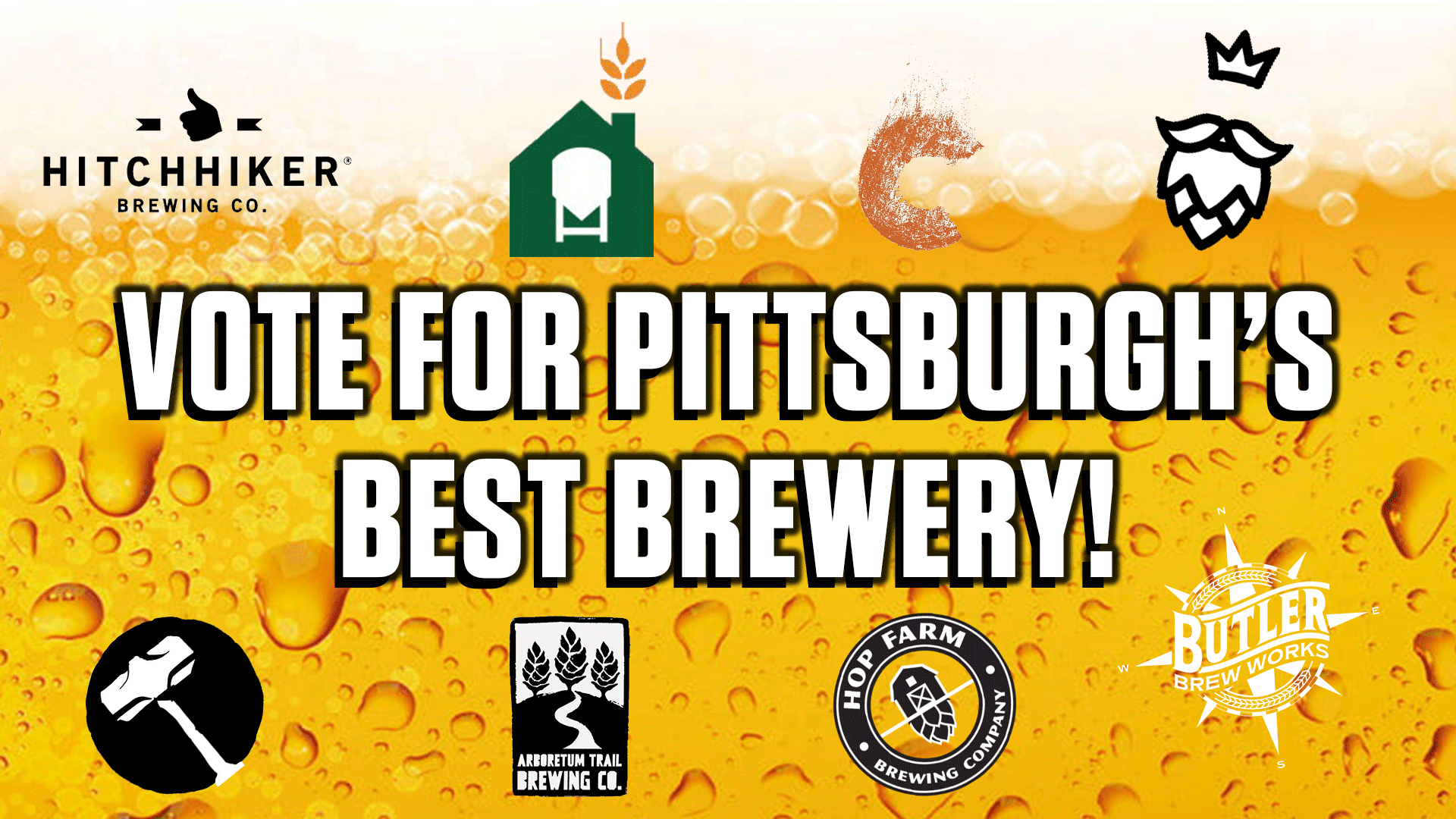 tasty-8-full-size-hampton-beer-outlet-pittsburgh-brewery-vote